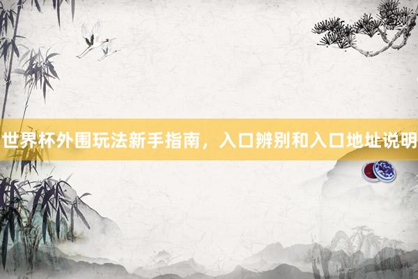 世界杯外围玩法新手指南，入口辨别和入口地址说明