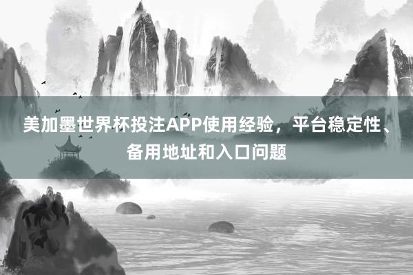 美加墨世界杯投注APP使用经验，平台稳定性、备用地址和入口问题
